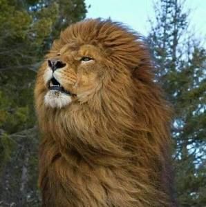 Meet your Posher, Edward